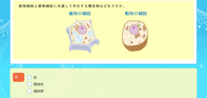 基本問題を解く
