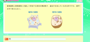 チャレンジ問題を解く